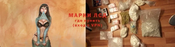 стаф Аркадак