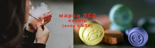 стаф Аркадак