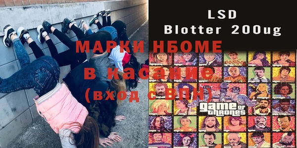стаф Аркадак