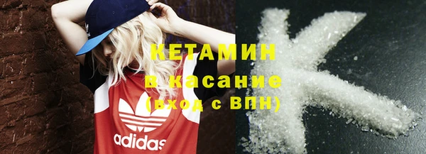 стаф Аркадак