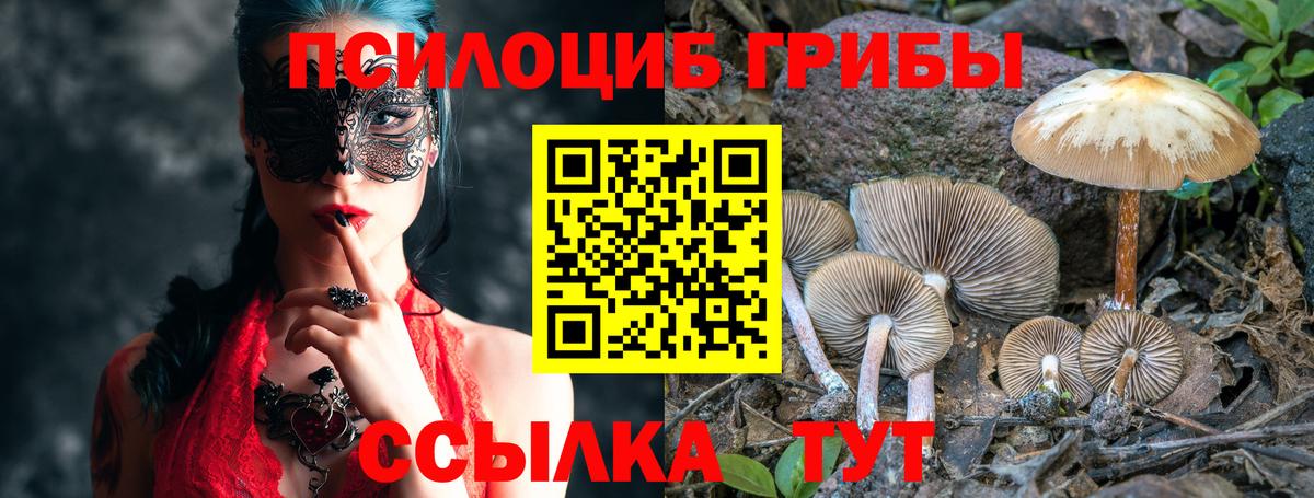 Псилоцибиновые грибы мицелий  Вход с VPN  Бахчисарай 