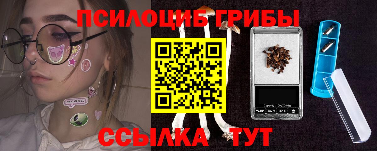 Галлюциногенные грибы Cubensis Бахчисарай