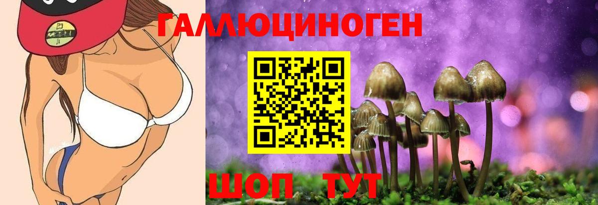 закладка  Бахчисарай  Галлюциногенные грибы Psilocybe 